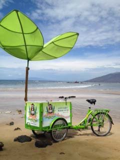Shaka Pop Icicle Tricycle Ice Cream Bike