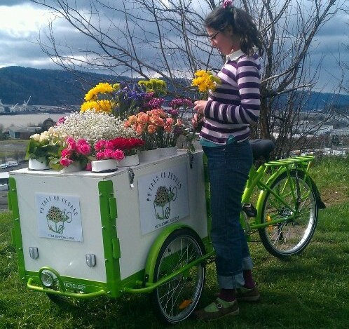 Icicle Tricycles Flower Bike 