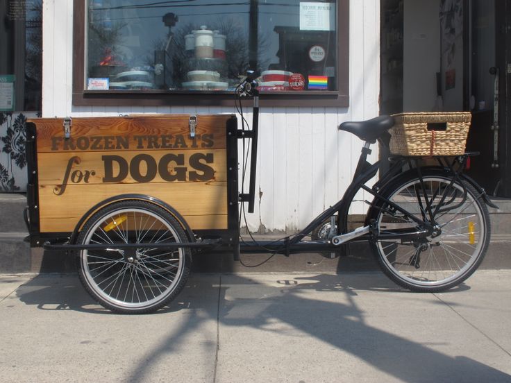 Icicle Tricycles Dog Food Bike - bone house treats for dogs