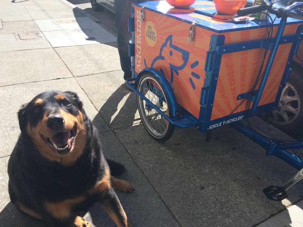 Icicle Tricycle Dog Food Bike