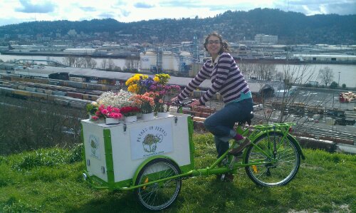 Icicle Tricycles Flower Bike Business